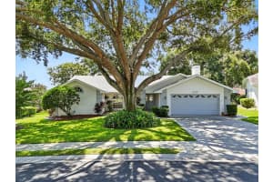 2117 RAINBOWER DRIVE, LAKELAND, FL 33810 - MLS#MFRO6336738