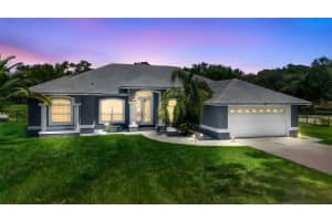 25039 ADAIR AVENUE, SORRENTO, FL 32776 - MLS#MFRO6336741