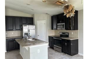14323 HADDON MIST DRIVE, WIMAUMA, FL 33598 - MLS#MFRO6337016