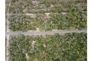 8387 YELLOWBIRD AVENUE, DUNNELLON, FL 34434 - MLS#MFRO6337067