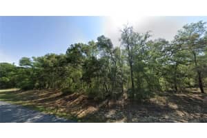 8409 YELLOWBIRD AVENUE, DUNNELLON, FL 34434 - MLS#MFRO6337070