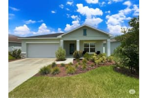 3977 Fescue St, CLERMONT
