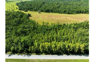 DEEN STILL RD, POLK CITY, FL 33868 - MLS#MFRO6337157