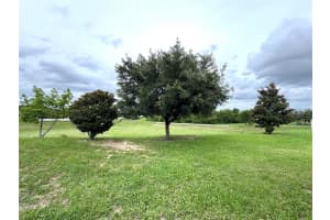3057 PATTERSON GROVES DRIVE, HAINES CITY, FL 33844 - MLS#MFRO6337346