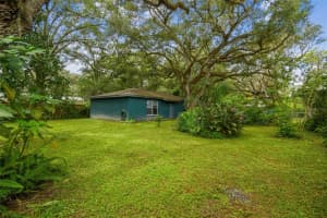 1317 CARL STREET, INVERNESS, FL 34453 - MLS#MFRO6337349