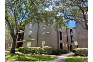 1321 Arbor Vista Loop #317, LAKE MARY