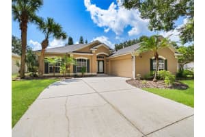 3851 BEACON RIDGE WAY, CLERMONT, FL 34711 - MLS#MFRO6337381