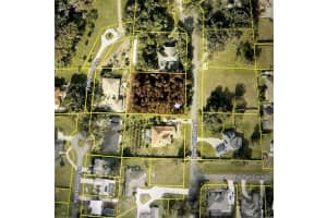 705 NEWELL HILL ROAD, LEESBURG, FL 34748 - MLS#MFRO6337465