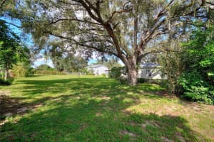 118 PINE STREET, DAVENPORT, FL 33837 - MLS#MFRO6337486
