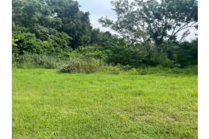 E CLEVELAND ST E, APOPKA, FL 32703 - MLS#MFRO6337632