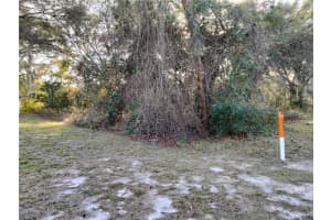 SHEELER OAKS DR, APOPKA, FL 32703 - MLS#MFRO6337662
