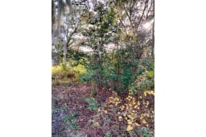 SHEELER OAKS DR, APOPKA, FL 32703 - MLS#MFRO6337662