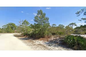 1162 WILDFLOWER STREET, LAKE PLACID, FL 33852 - MLS#MFRO6337681