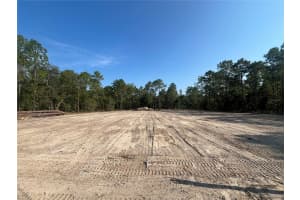 12411 71 LANE ROAD, OCALA, FL 34481 - MLS#MFRO6337693
