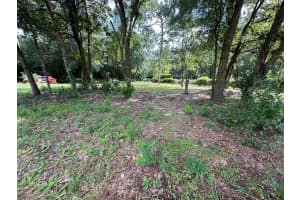 506 LAKE PLEASANT ROAD, APOPKA, FL 32712 - MLS#MFRO6337714