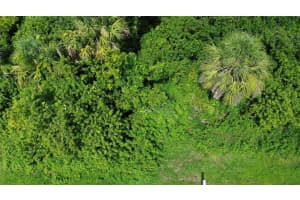 4099 DOTHAM STREET, PORT CHARLOTTE, FL 33948 - MLS#MFRO6337757