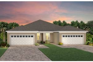13526 Pearl Beach St, WINTER GARDEN