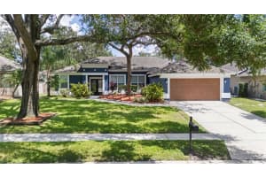 1755 Sparkling Water Cir, OCOEE