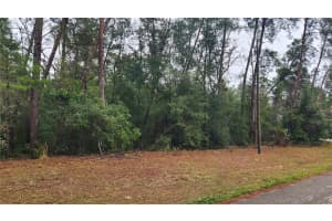 LOCUST COURSE RADL, OCALA, FL 34472 - MLS#MFRO6338034