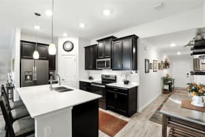 4809 MAGNETITE LOOP, MOUNT DORA, FL 32757 - MLS#MFRO6338077