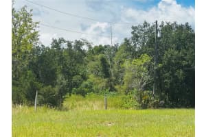 5841 SKOKIE ROAD, LAKE WALES, FL 33898 - MLS#MFRO6338141