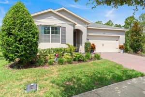 3903 WINGED ELM COURT, CLERMONT, FL 34714 - MLS#MFRO6338254
