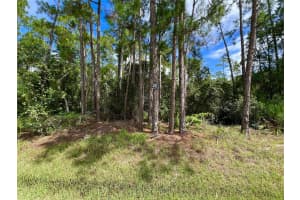 14421 WINTERSET DRIVE, ORLANDO, FL 32832 - MLS#MFRO6338295