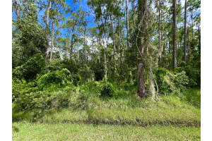 14421 WINTERSET DRIVE, ORLANDO, FL 32832 - MLS#MFRO6338295