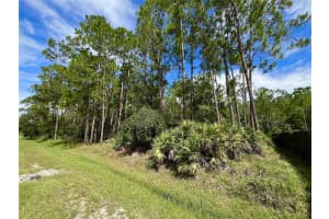 14421 WINTERSET DRIVE, ORLANDO, FL 32832 - MLS#MFRO6338295