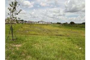 2239 CHRIS DRIVE, WINTER HAVEN, FL 33884 - MLS#MFRO6338322