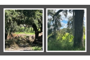 1122 DARITY STREET, APOPKA, FL 32703 - MLS#MFRO6338394