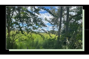 1122 DARITY STREET, APOPKA, FL 32703 - MLS#MFRO6338394