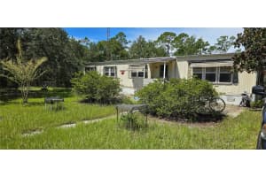 47429 EAST AVENUE, PAISLEY, FL 32767 - MLS#MFRO6338460