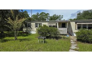 47429 EAST AVENUE, PAISLEY, FL 32767 - MLS#MFRO6338460