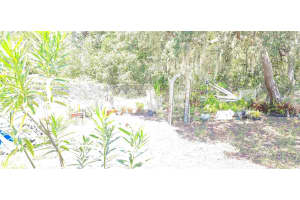 47429 EAST AVENUE, PAISLEY, FL 32767 - MLS#MFRO6338460
