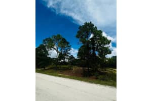 486 DREAMLAND DRIVE, LAKE PLACID, FL 33852 - MLS#MFRO6338501