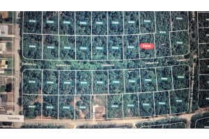 228 COLLEEN LANE, LAKE PLACID, FL 33852 - MLS#MFRO6338729