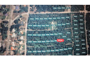 228 COLLEEN LANE, LAKE PLACID, FL 33852 - MLS#MFRO6338729
