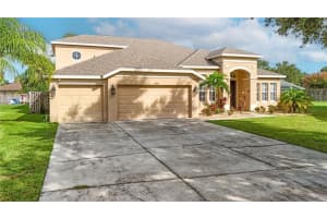 11418 Dutch Iris Dr, RIVERVIEW