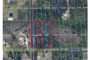 SHELDON ST, ORLANDO, FL 32833 - MLS#MFRO6338811