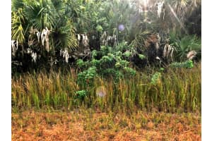 SERNICE ST, NORTH PORT, FL 34288 - MLS#MFRO6338859