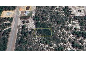 414 FLAMINGO STREET, LAKE PLACID, FL 33852 - MLS#MFRO6338992