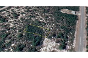 414 FLAMINGO STREET, LAKE PLACID, FL 33852 - MLS#MFRO6338992
