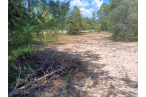 SE 147TH TER, WILLISTON, FL 32696 Sold 10/17/25