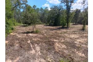 SE 147TH TER, WILLISTON, FL 32696 Sold 10/17/25