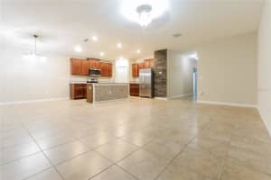 10121 CRESTED FRINGE DRIVE, RIVERVIEW, FL 33578 - MLS#MFRO6339117