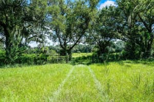 7466 VIVIAN LANE, ORLANDO, FL 32818 - MLS#MFRO6339244