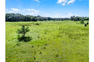 7466 VIVIAN LANE, ORLANDO, FL 32818 - MLS#MFRO6339244