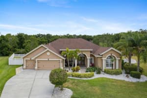 27740 Water Ash Dr, WESLEY CHAPEL