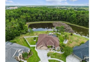 27740 WATER ASH DRIVE, WESLEY CHAPEL, FL 33544 - MLS#MFRO6339315